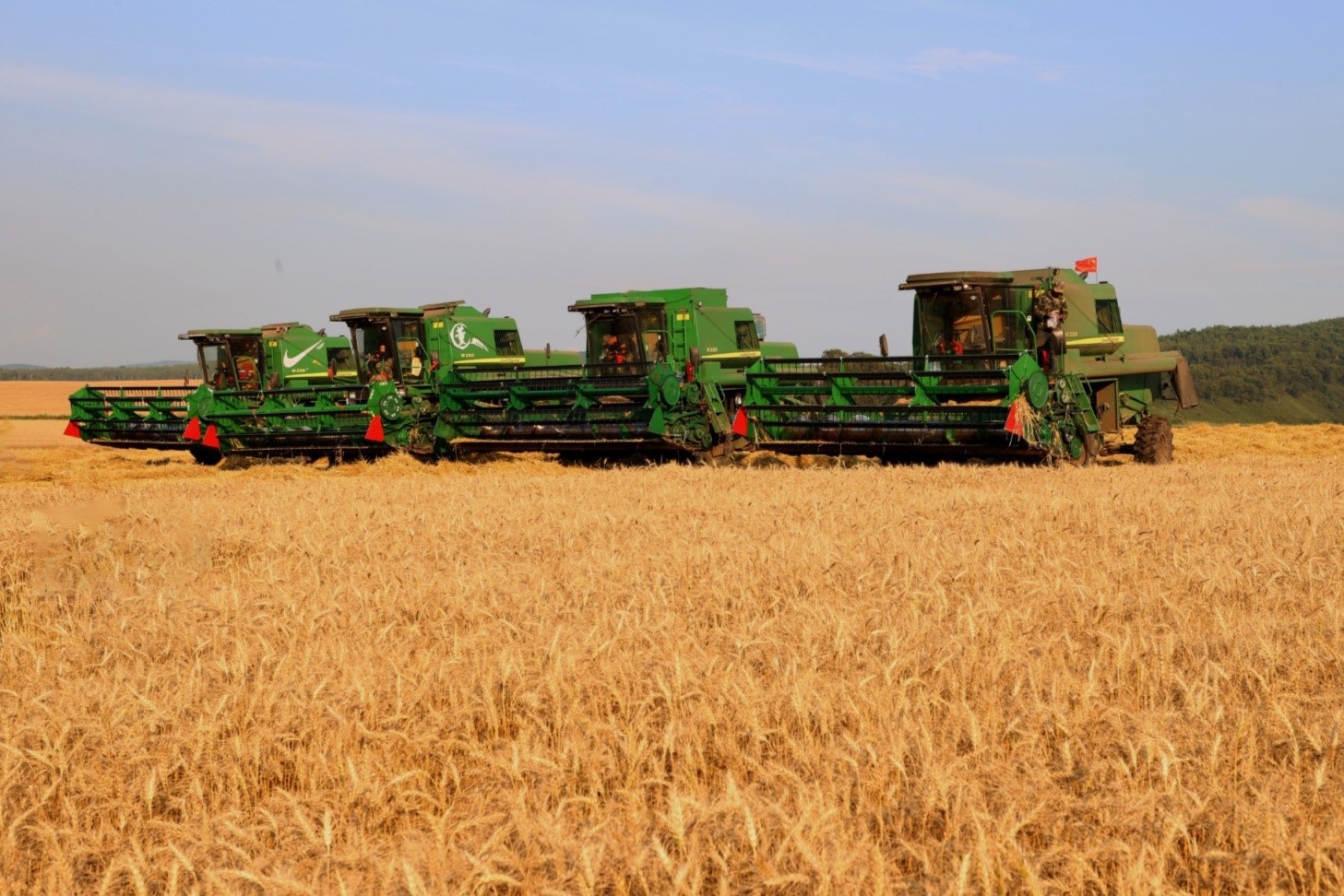 O núcleo das três precauções para o dever de casa da colheita de outono